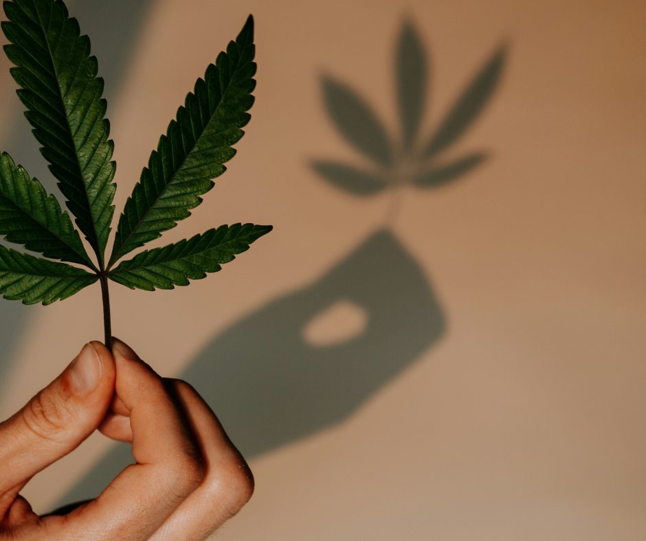 Arrêter le cannabis avec l’hypnose : guide pour un sevrage serein